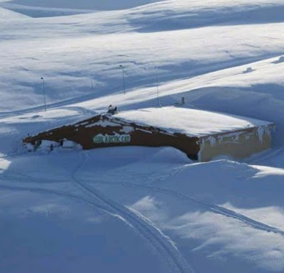 SNOWCAT - Arctic Cat Club Kfardebian LB