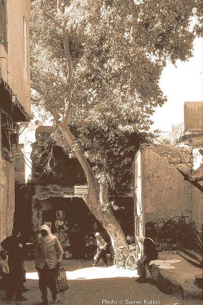 سوبر ماركت الدباس