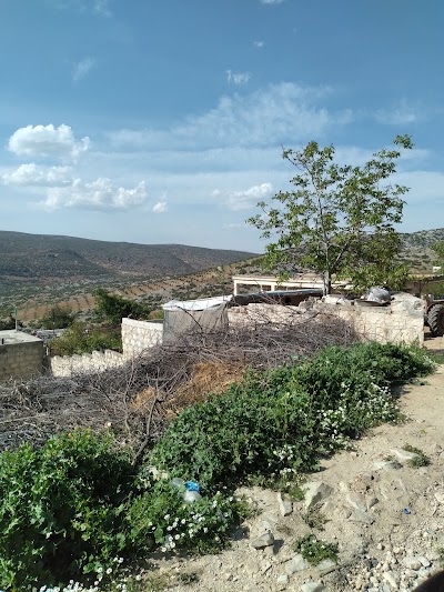 سوبر ماركت مسعود