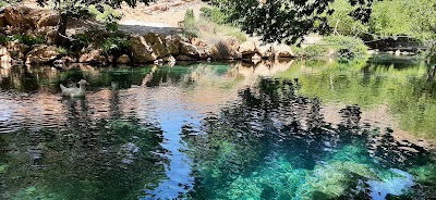 Stream of the Asi River