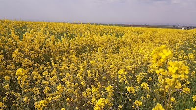 Suruç Emniyet Müdürlüğü