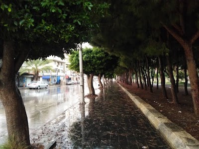 صيدلية نانسي جبارة