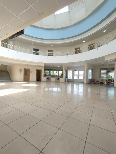 Syrian Modern School