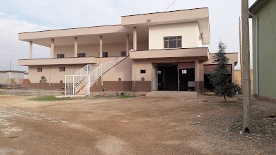 Tanriverdi Koyu Muhtarligi