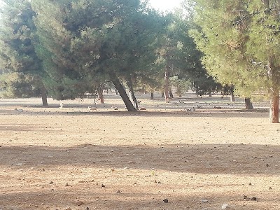 Tarim Isletmesi Mudurlugu