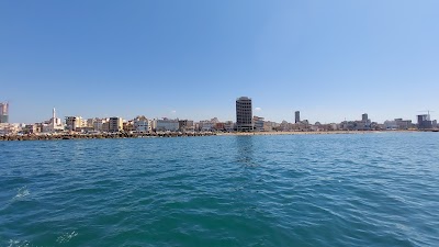 Tartus‎