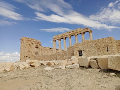 تدمر