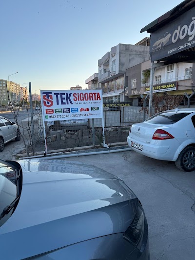 Tek Sigorta Aracılık Hizmetleri