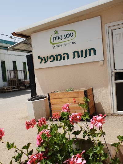 Teva Naot factory store