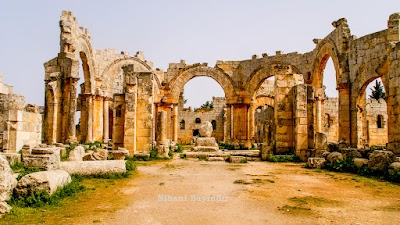 The Cathedral of St. Simeon Stylite