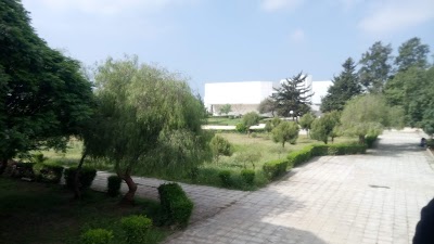 the department of Arabic language