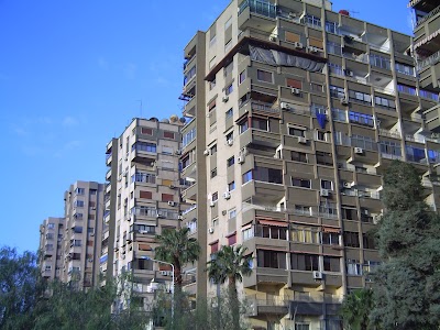 The Syria Trust for Development