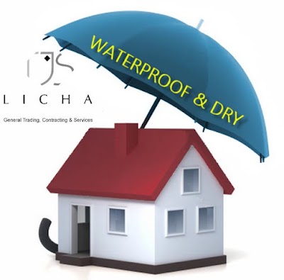 TJS Licha Group LLC