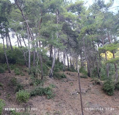 تميمة البركة