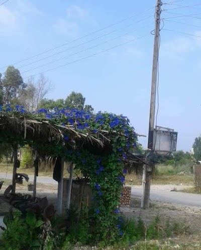 تنور المحبة وادي قنيل