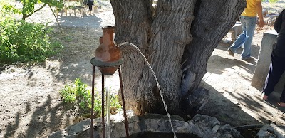 تنور نيشان