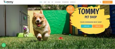 tommy pet shop