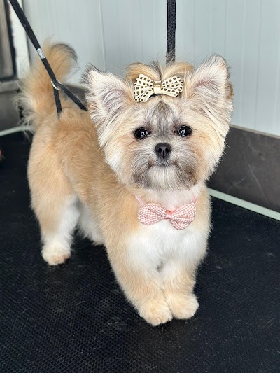 Top Dog מספרת הכלבים של אוראל