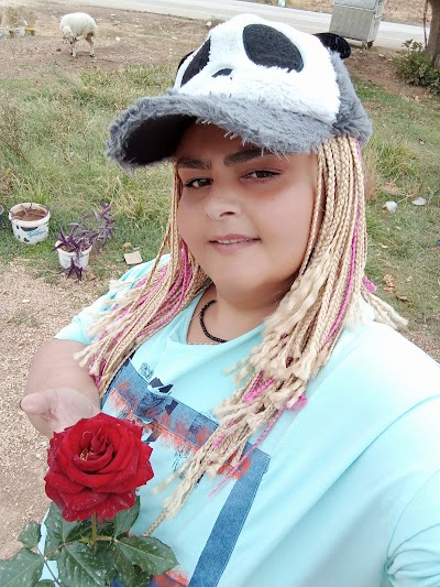 Toprak fidancılık