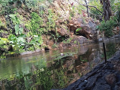 Tropical Cave