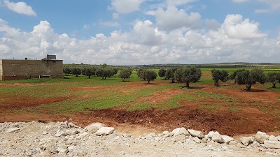 Türkiye Elbab
