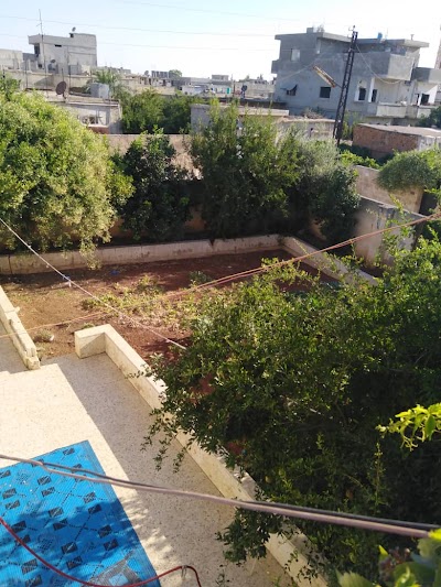 طيبه الامام