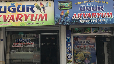 Ugur Akvaryum