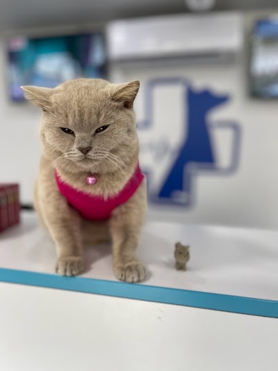 UltraVet Veterinary Center