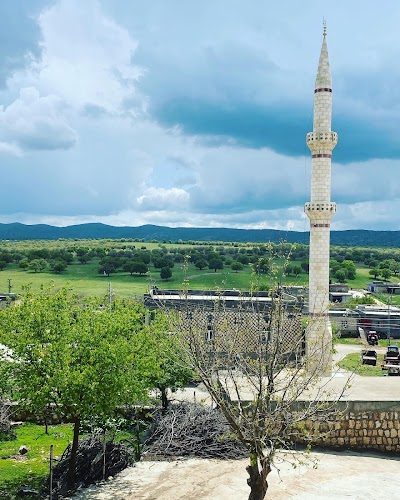 Urunlu Koyu Muhtarligi