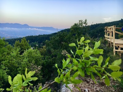 Veteriner Hekim Metin Hatun