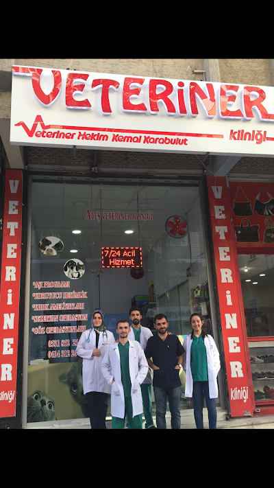VETERİNER SERVAN (kemal karabulut)