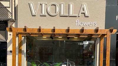 Violla flowers