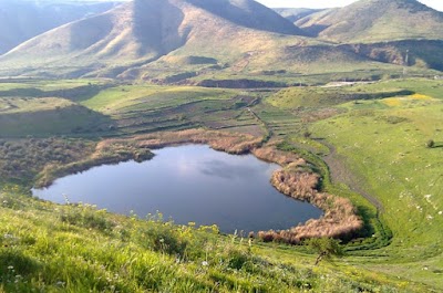 Yarmouk Nature Reserve