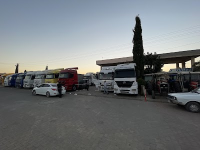 Yavuz Otomotiv ve CNN Lojistik