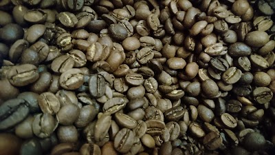 Yayladagi Ilce Jandarma Komutanligi