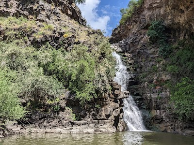 Yehudia Forest Reserve - Camping