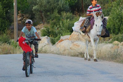 Yesiltepe Ilkogretim Okulu