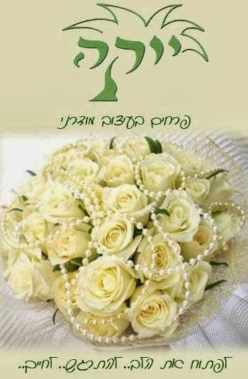 יוקה - חנות פרחים | Yucca - flowers shop