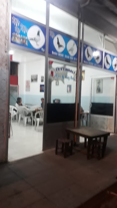 Zeytindalı kuş Evi