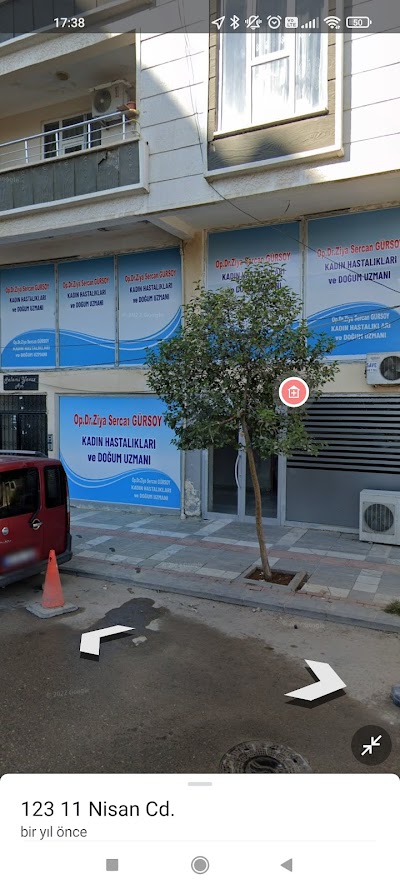 Ziya Sercan Gürsoy