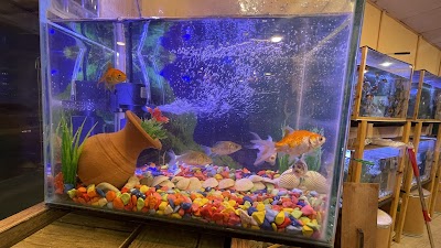 Zoo pet store