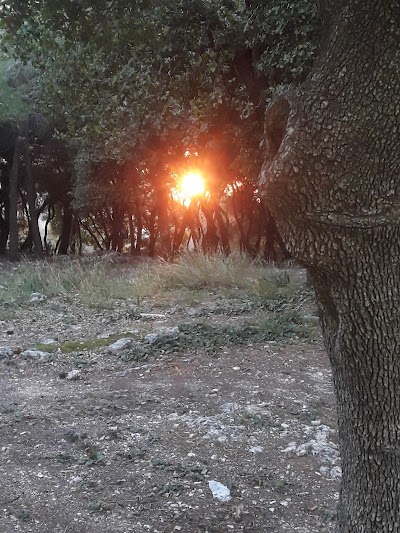 زيارة الشيخ اسماعيل